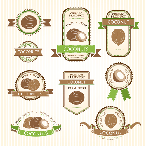Delicate fruits labels vector material set 17