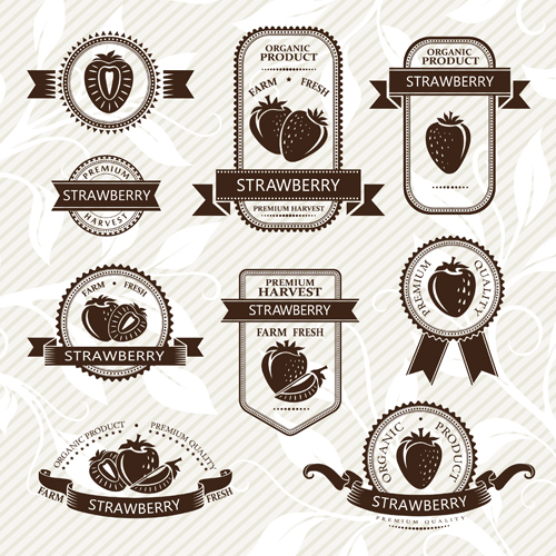 Delicate fruits labels vector material set 19