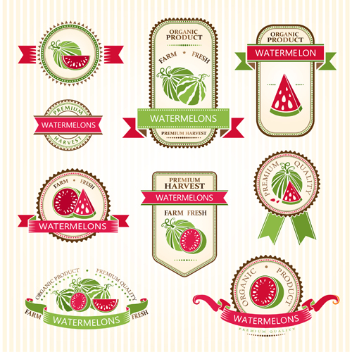 Delicate fruits labels vector material set 21