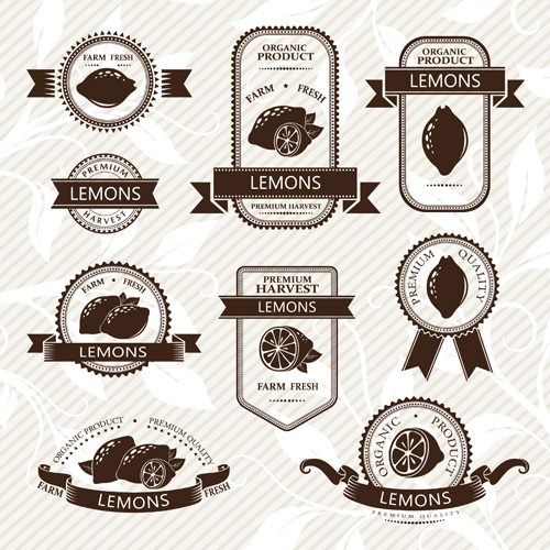 Delicate fruits labels vector material set 24
