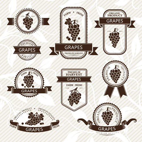 Delicate fruits labels vector material set 25