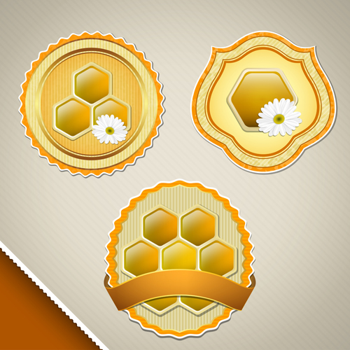 Labels honey yellow vector