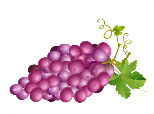 juicy grapes 