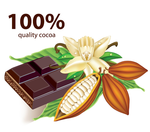 Set of Chocolate design elements vector 01