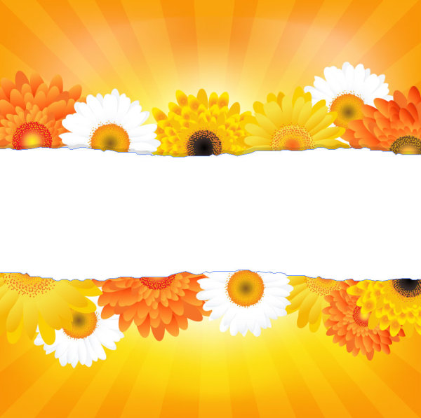 Sunflower elements background vector 04