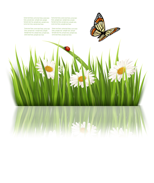 vector background green grass green butterfly beautiful 