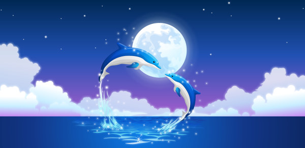 moon dolphins dolphin beautiful 