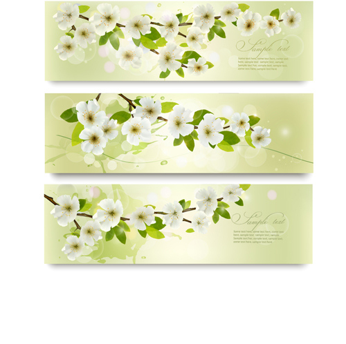 Beautiful white flowers vector banner 01