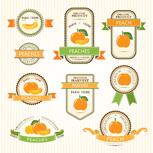 Delicate fruits labels vector material set 01