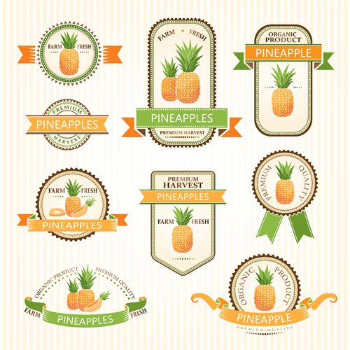 Delicate fruits labels vector material set 03
