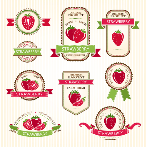 Delicate fruits labels vector material set 04