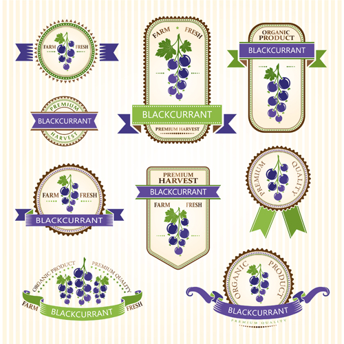 Delicate fruits labels vector material set 05