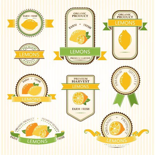 Delicate fruits labels vector material set 10