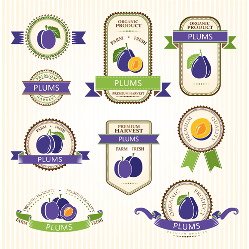 Delicate fruits labels vector material set 11