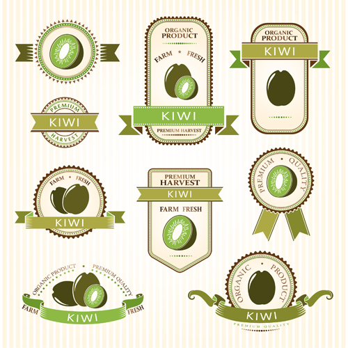 Delicate fruits labels vector material set 13