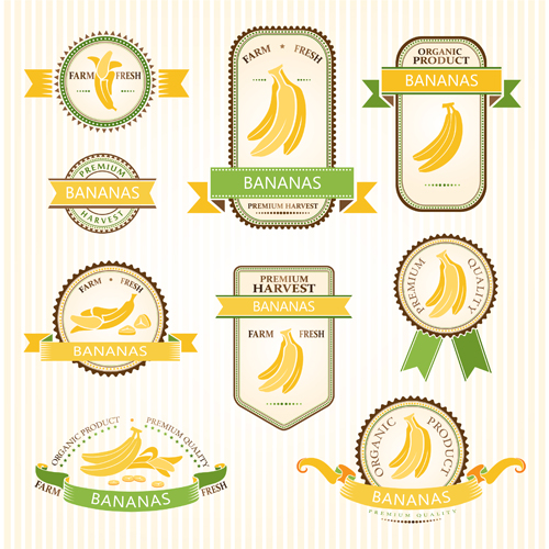 Delicate fruits labels vector material set 15