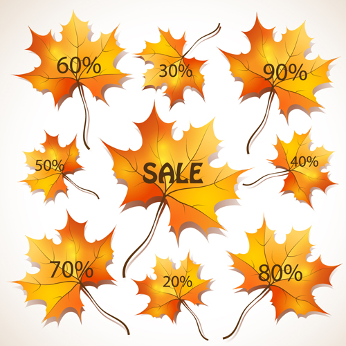 Maple Leaves design elements vector 03