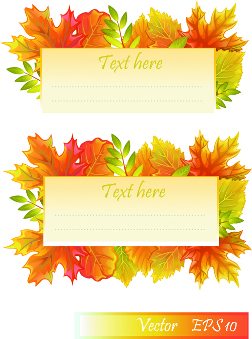 Maple Leaves design elements vector 04