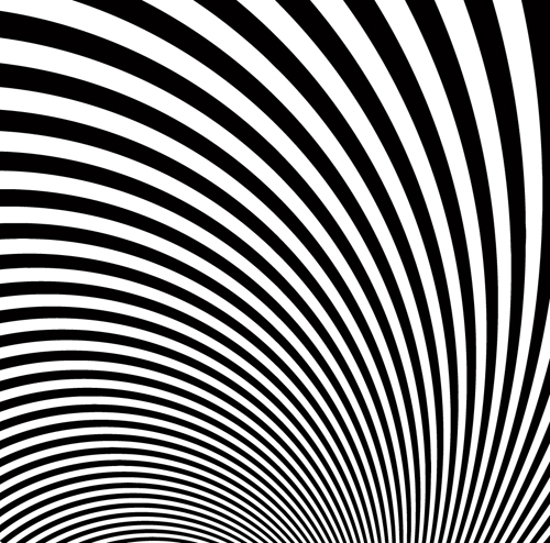 Zebra Stripes background vector