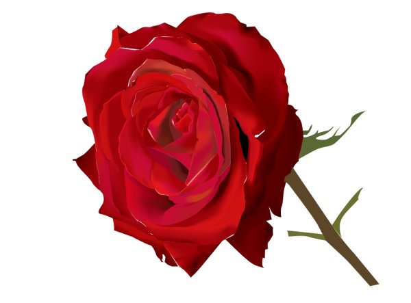 lifelike with Flowers vector set 02