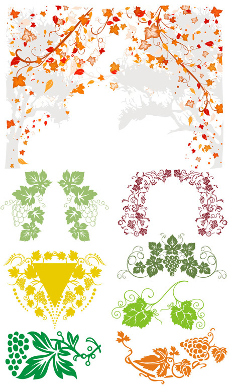 vines frame Floral vector