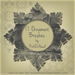 Ornament Brushes by PinkOnHead Photoshop Brushes