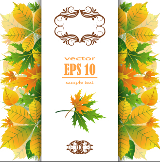Beautiful autumn leaves with paper background 02