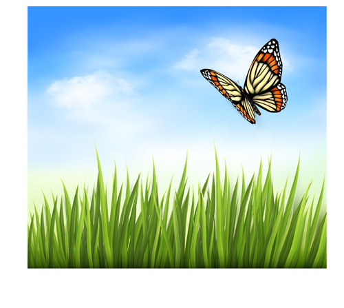 vector background green grass green butterfly beautiful background 