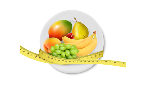 Fruit plate elements vector