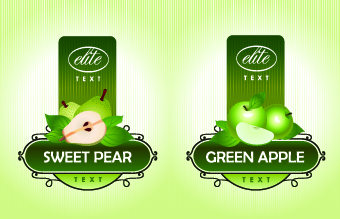 Different Fruit stickers vector set 05