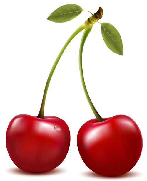 Realistic red cherry design vector