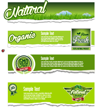 Torn paper eco style banners vector 02