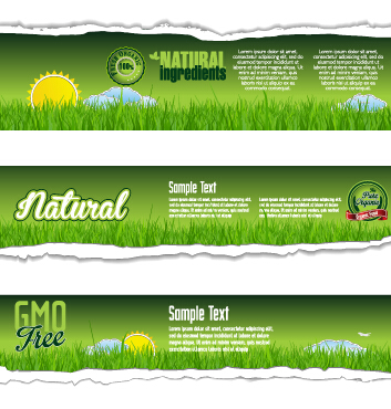 Torn paper eco style banners vector 03