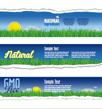 Torn paper eco style banners vector 04