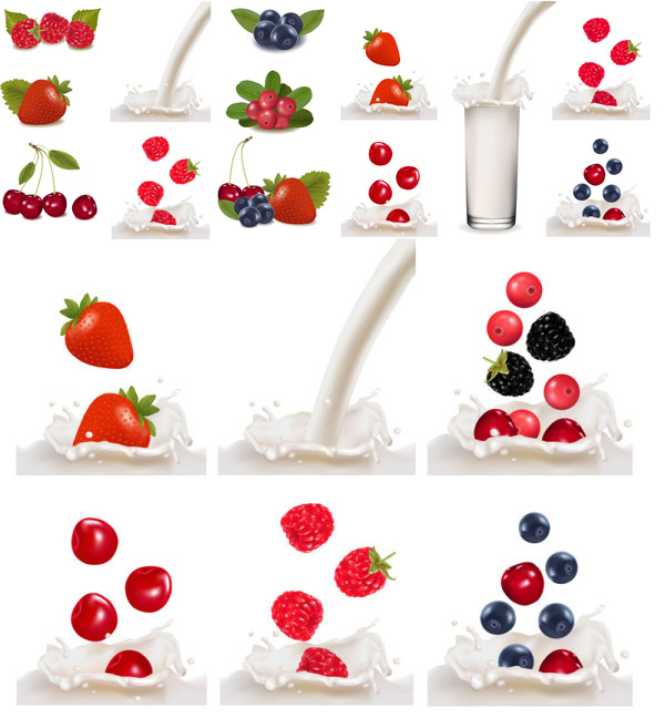 Fresh fruit vector