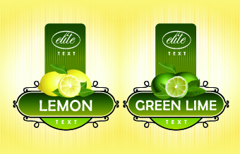 Different Fruit stickers vector set 01