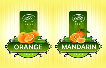 Different Fruit stickers vector set 02