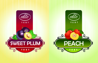 Different Fruit stickers vector set 04