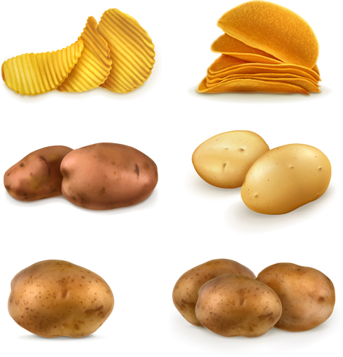 Potatoes and potato chips vector graphics