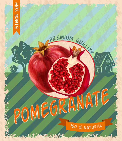 o fruit poster grunge style vector 07 Retro fruit poster grunge style vector 07