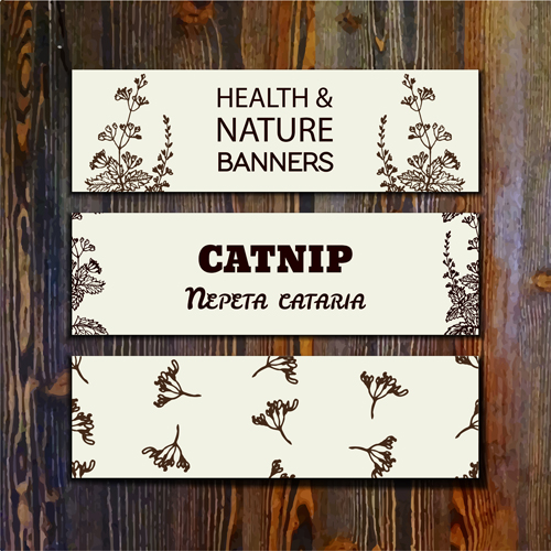 Retro wooden background with banner vector 02
