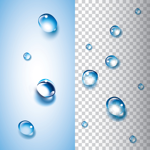 Shiny water drops vector illustration set 02