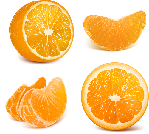 Vivid Fruits design vector graphics 04