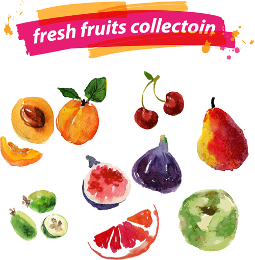 Watercolor fresh fruits set 02 vector