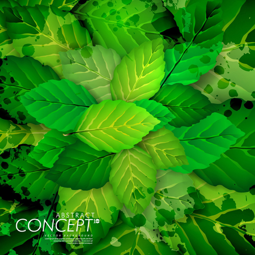 leaves green concept background 