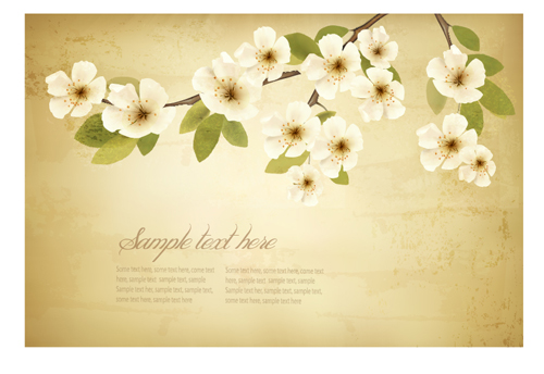 spring white flowers with vintage background 01