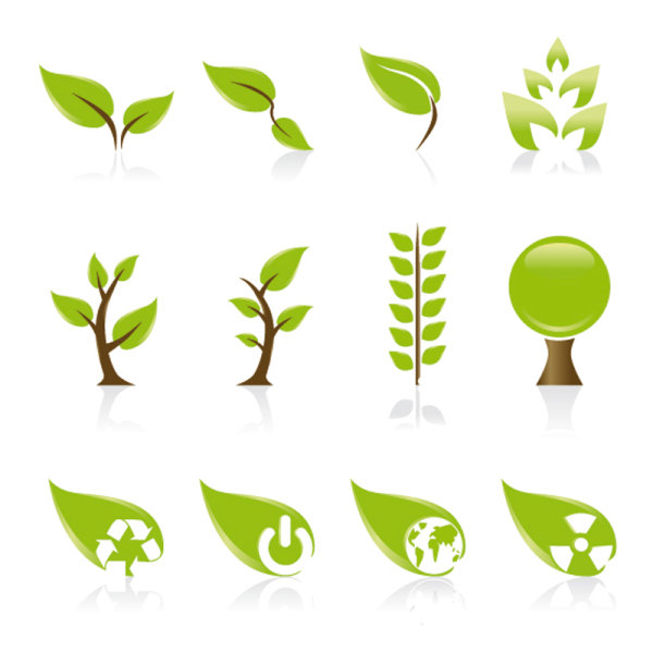 Set of Exquisite Leaves vector Graphics part 01
