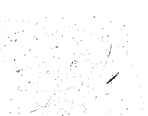 Black speckle texture vector material 02