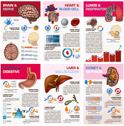 Business Infographic creative design 2828