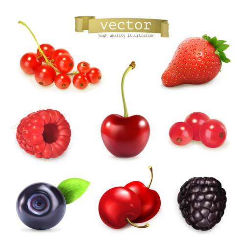 Fresh ripe summer berries shiny vector 02